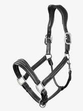 Lemieux Stitched Leather Headcollar