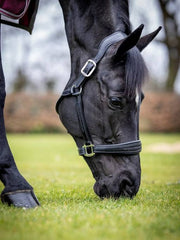 Lemieux Stitched Leather Headcollar