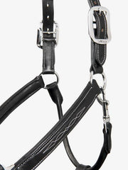 Lemieux Stitched Leather Headcollar
