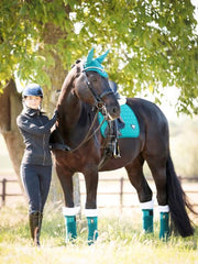 Lemieux Loire Classic Dressage Square