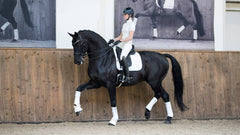 Lemieux Loire Memory Dressage Square