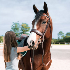 Devoucoux Makila Bridle