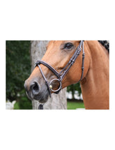 Jumpin Bridle Thursday - Collection Week