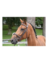 Jumpin Bridle Thursday - Collection Week