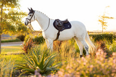 Lemieux Loire Classic Close Contact Square