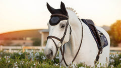 Lemieux Elite Fly Hood