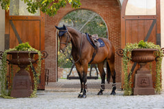 Lemieux Loire Classic Close Contact Square