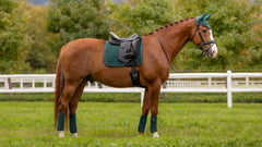 Lemieux Classic Polo Bandages