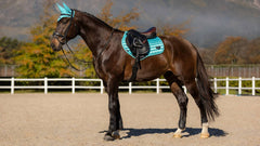 Lemieux Loire Classic Close Contact Square