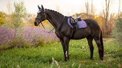 Lemieux Earth Close Contact Square