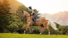 Lemieux Earth Close Contact Square