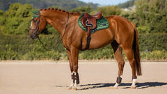 Lemieux Loire Classic Close Contact Square