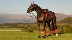 Lemieux Loire Memory Dressage Square