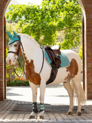 Lemieux Mini Classic Fly Hood SS25