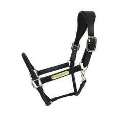 Kentucky Horsewear Anatomic Leather Head Halter