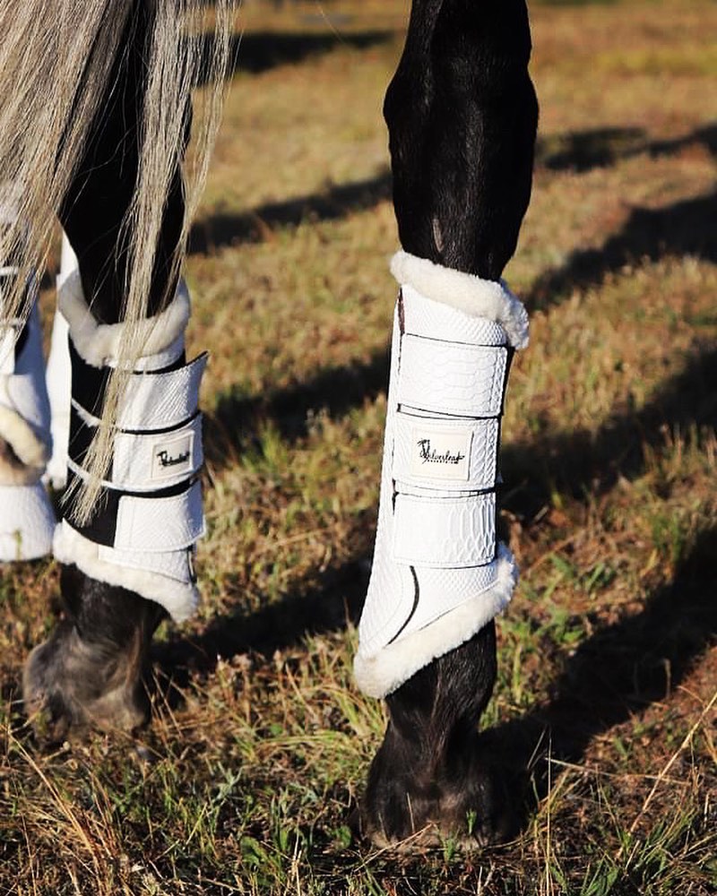 Silverleaf Haven Horse Brushing Tendon Boots Australia Completely Equine
