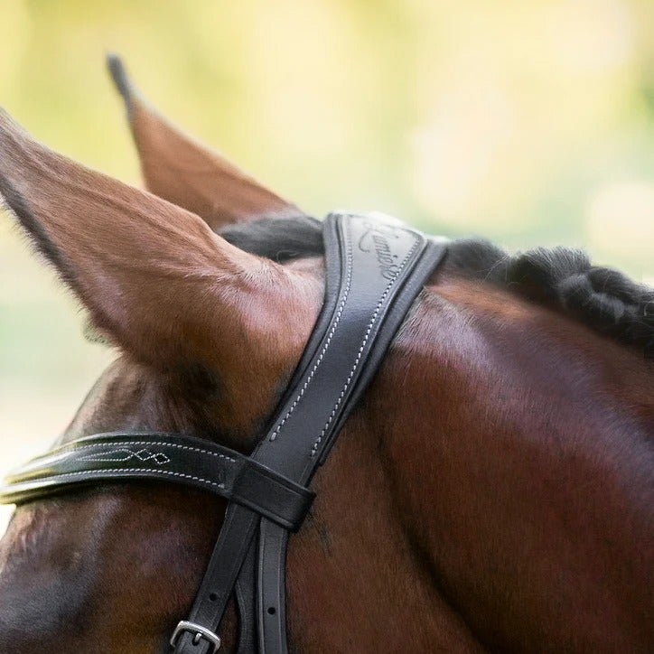 Lumiere Milan Bridle (Convertible) Brown
