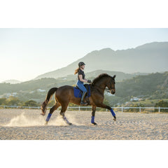 Lemieux Classic Polo Bandages