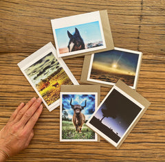 Tesh Munro Blank Card