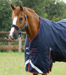 Titan 450g Turnout Rug with Snug Fit Neck Cover - Premier Equine