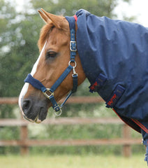Titan 450g Turnout Rug with Snug Fit Neck Cover - Premier Equine