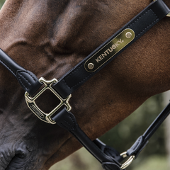 Kentucky Horsewear Anatomic Leather Head Halter