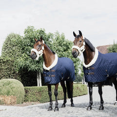 Kentucky Horsewear Show Rug 160g