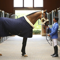 Kentucky Horsewear Show Rug 160g