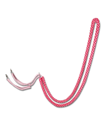 Waldhausen Lunging Aid