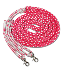 Waldhausen Lunging Aid