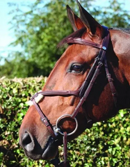 Dy'on New English Collection Figure 8 Noseband Bridle