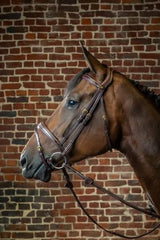 Dy’on D Collection Anatomic Flash Noseband Bridle