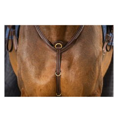 Dy'on D Collection Bridge Breastplate