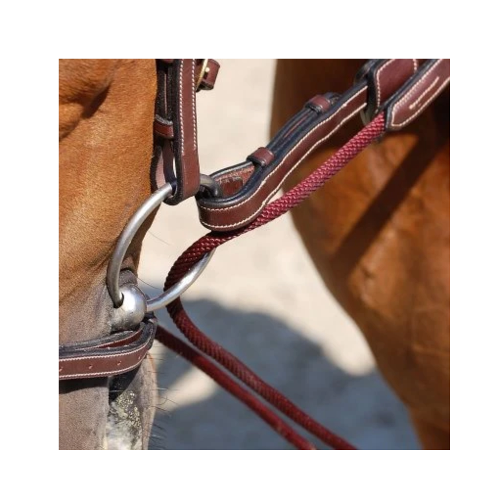 Dy'on D Collection Leather/Nylon Draw Reins 5/8