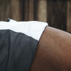 Kentucky Horsewear Magnetic Rug Recuptex