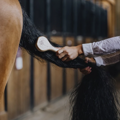 Kentucky Horsewear Mane Brush