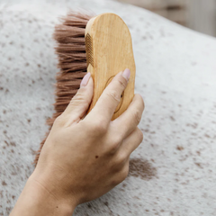 Kentucky Horsewear Middle Brush Medium