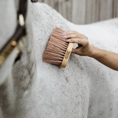 Kentucky Horsewear Middle Brush Medium