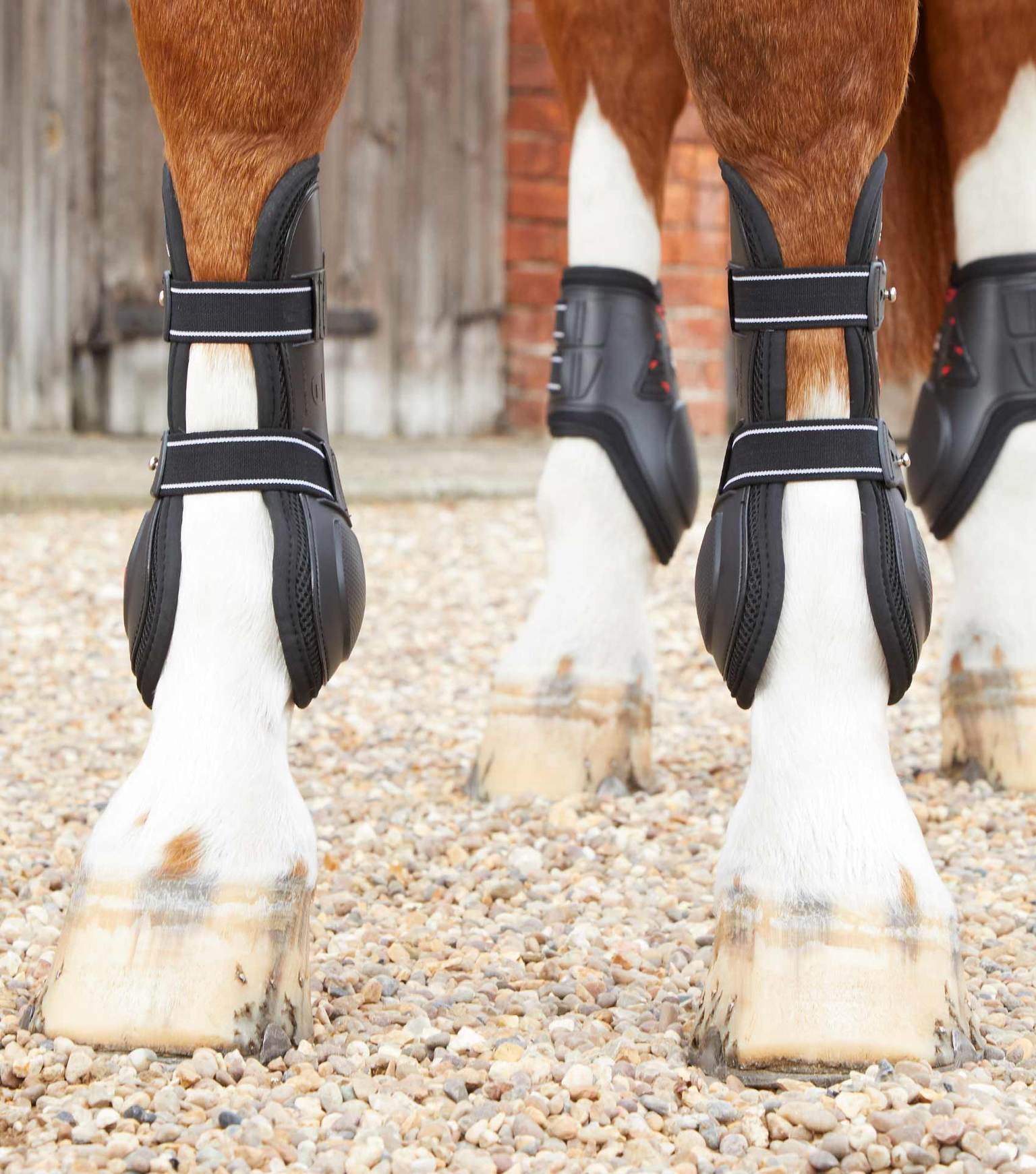 Tendon Support Boots For Horses