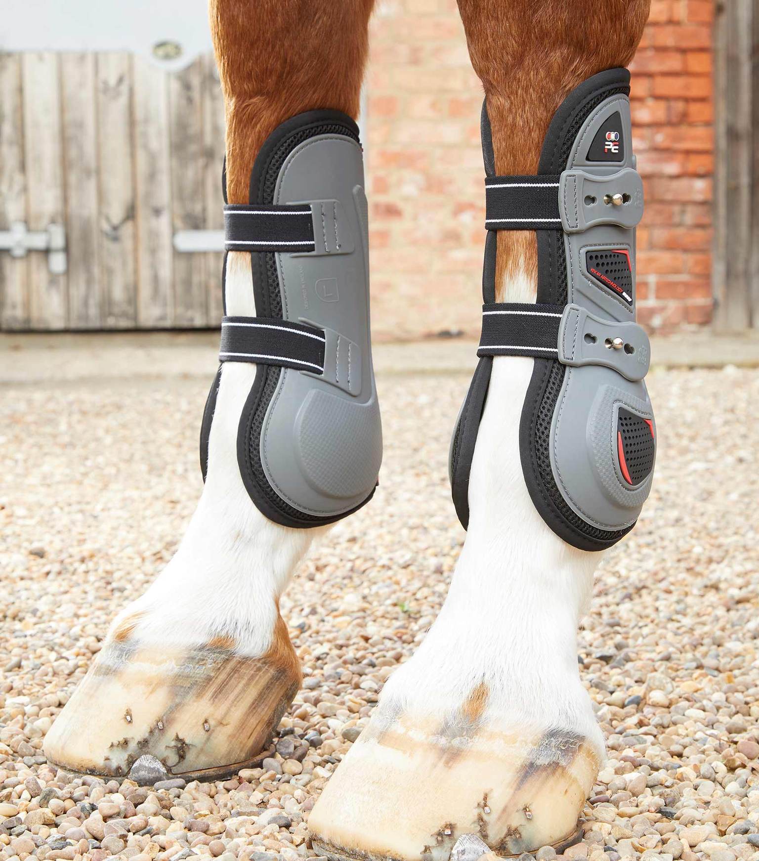 Tendon Support Boots For Horses