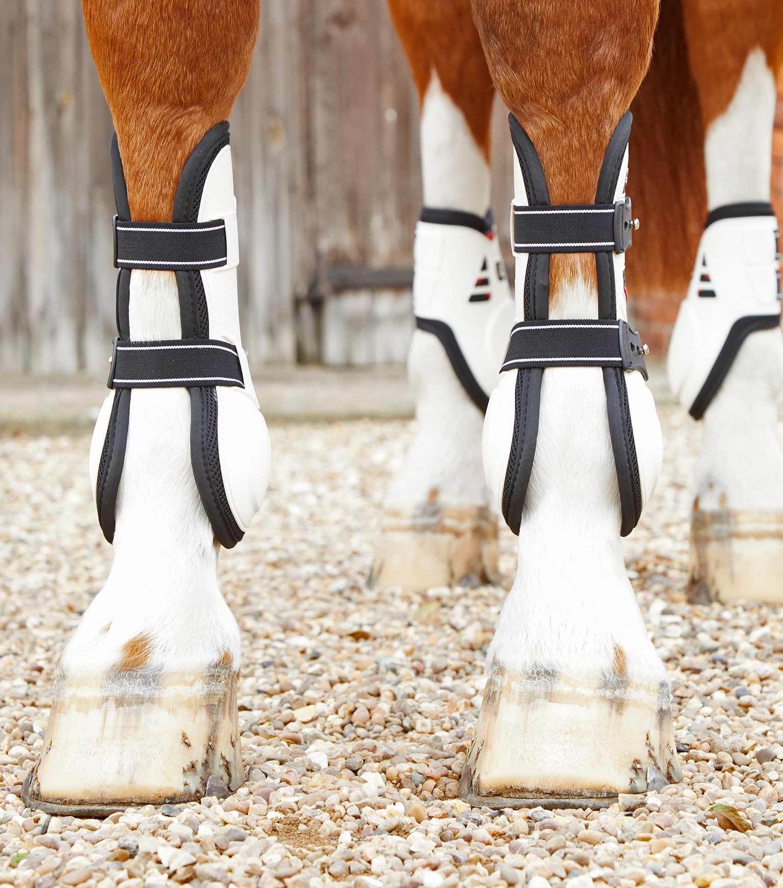 Tendon Support Boots For Horses