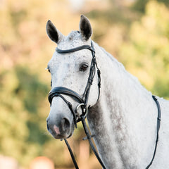 Lumiere 'Ainsley' Bridle (Includes Reins)