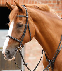 PEI Mossimo Cavesson Bridle
