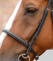 PEI Mossimo Cavesson Bridle