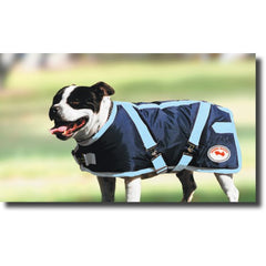 Thermo Master Supreme Dog Coat - Navy and Baby Blue