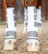 Fly Boots For Horses Australia