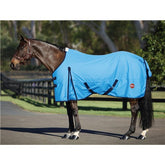 Kozy 600D Nylon Horse Rug Blue