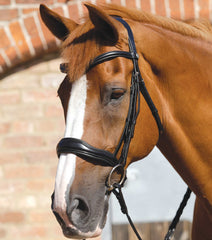 Verdura Anatomic Snaffle Bridle