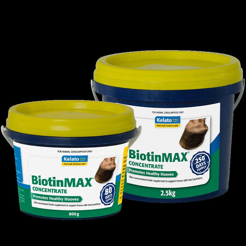 BiotinMAX Concentrate