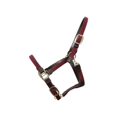 Kentucky Horsewear Plaited Nylon Halter